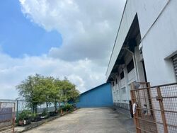Palm Mansions (D5), Warehouse #582087631